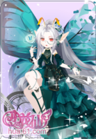 半边蝶套装